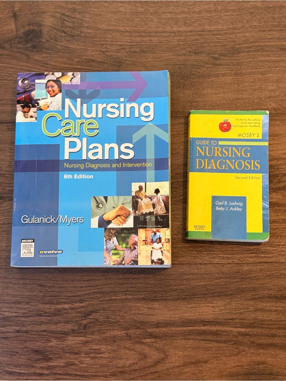 Nursing Care Plan / Nursing Diagnosis Book bundle